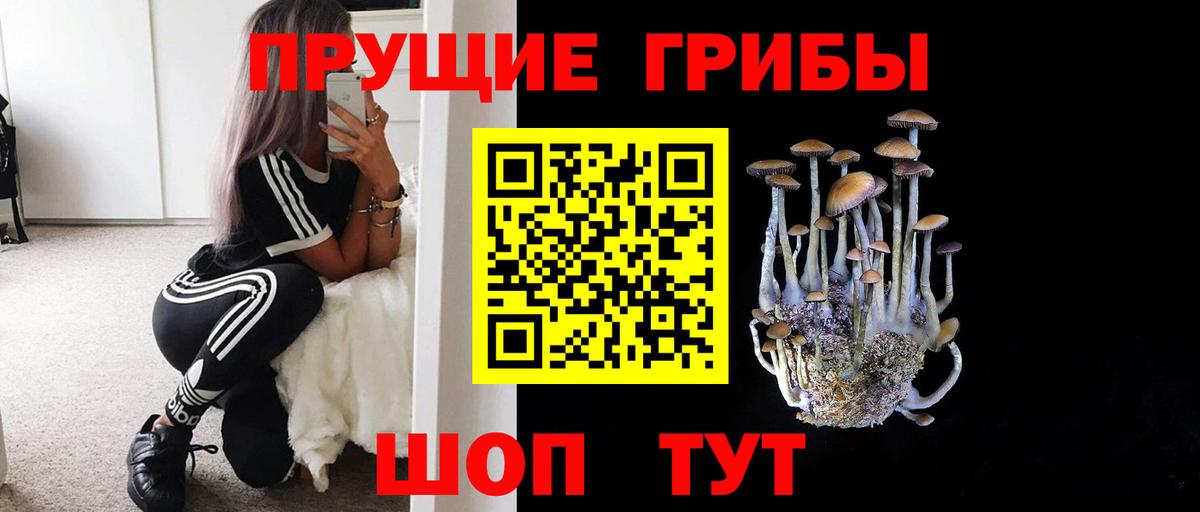 Галлюциногенные грибы Psilocybine cubensis  Вход с VPN  Дзержинский 